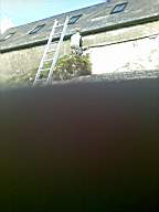 knockduff 5915.jpg