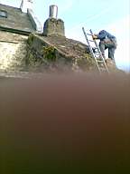 knockduff 5920.jpg