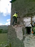 knockduff 5950.jpg