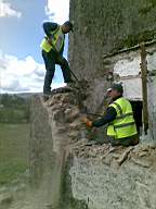knockduff 5955.jpg