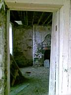 knockduff 6005.jpg