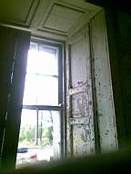 knockduff 6010.jpg