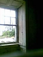 knockduff 6020.jpg