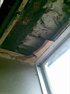 knockduff 6050.jpg