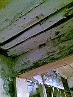 knockduff 6135.jpg