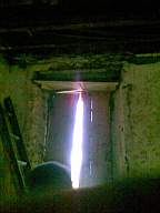 knockduff 6155.jpg