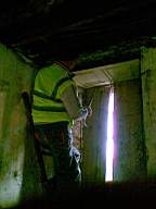 knockduff 6160.jpg