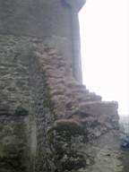 knockduff 6250.jpg