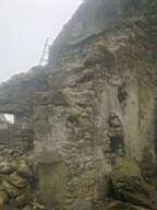 knockduff 6255.jpg