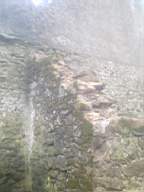 knockduff 6275.jpg