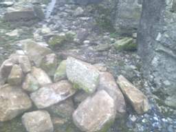 knockduff 6280.jpg