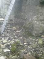 knockduff 6285.jpg