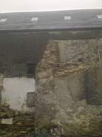 knockduff 6315.jpg