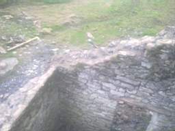 knockduff 6365.jpg