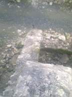knockduff 6380.jpg