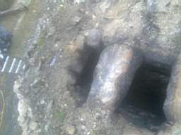 knockduff 6385.jpg