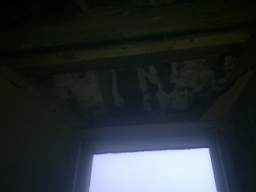knockduff 6400.jpg