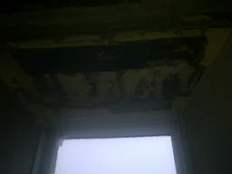 knockduff 6405.jpg