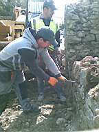 knockduff 6760.jpg