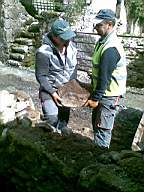 knockduff 6770.jpg