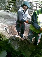 knockduff 6775.jpg