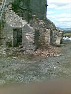 knockduff 6815.jpg