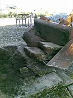 knockduff 6905.jpg