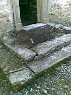 knockduff 6910.jpg