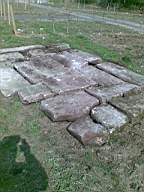 knockduff 6950.jpg