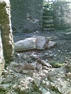 knockduff 6955.jpg