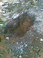 knockduff 7060.jpg