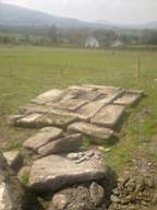 knockduff 7165.jpg