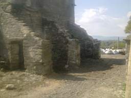 knockduff 7175.jpg