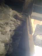 knockduff 7195.jpg