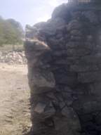 knockduff 7205.jpg