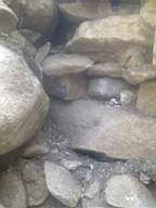knockduff 7210.jpg