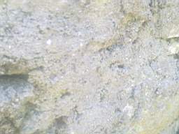 knockduff 7215.jpg