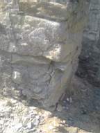 knockduff 7220.jpg