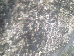 knockduff 7245.jpg
