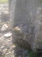 knockduff 7250.jpg