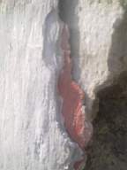 knockduff 7255.jpg