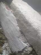 knockduff 7280.jpg