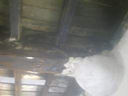 knockduff 7320.jpg