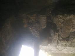 knockduff 7335.jpg