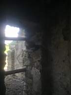 knockduff 7340.jpg