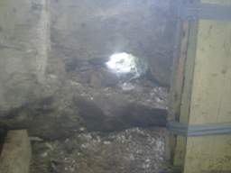 knockduff 7345.jpg