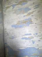 knockduff 7380.jpg