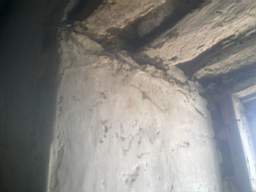 knockduff 7450.jpg