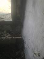 knockduff 7480.jpg