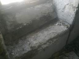 knockduff 7485.jpg